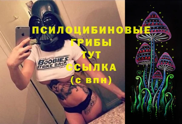 спиды Абаза