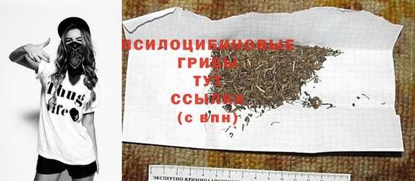 спиды Абаза