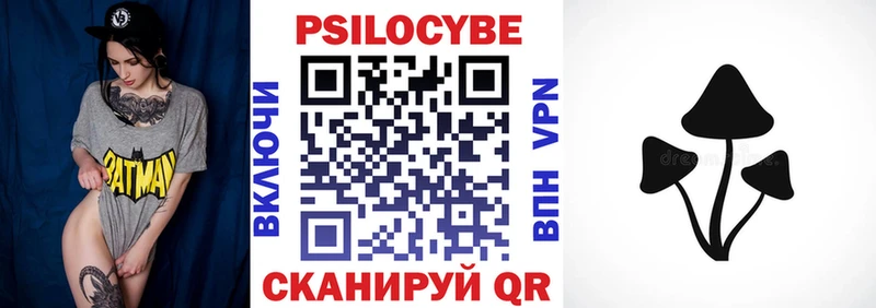 цена наркотик  Новочеркасск  Псилоцибиновые грибы Psilocybine cubensis 